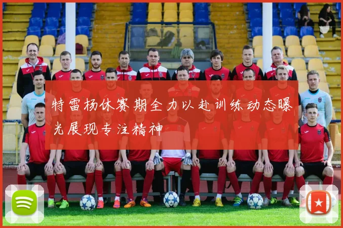 特雷杨休赛期全力以赴训练动态曝光展现专注精神